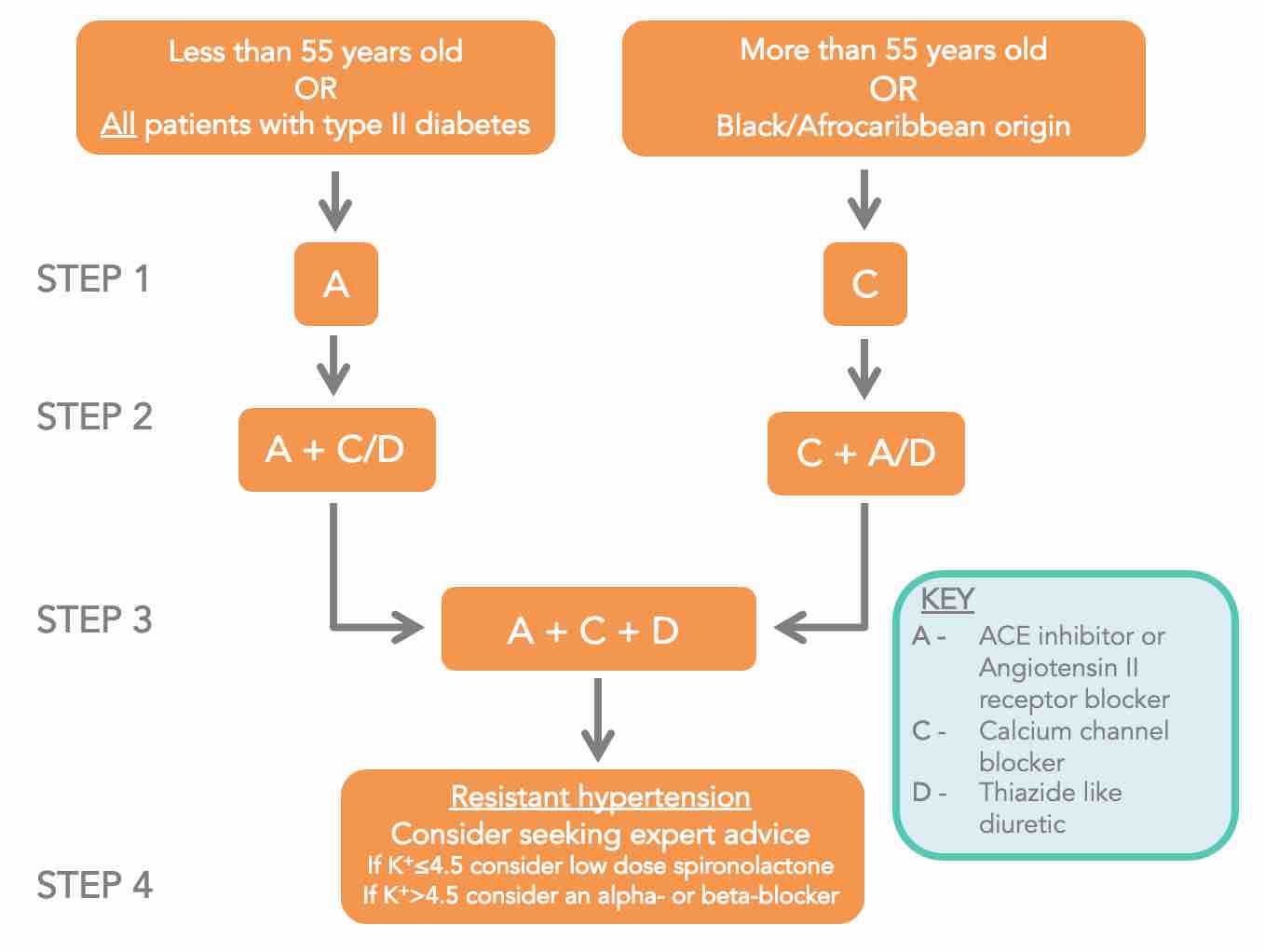 Blood pressure measurement - OSCE guide 